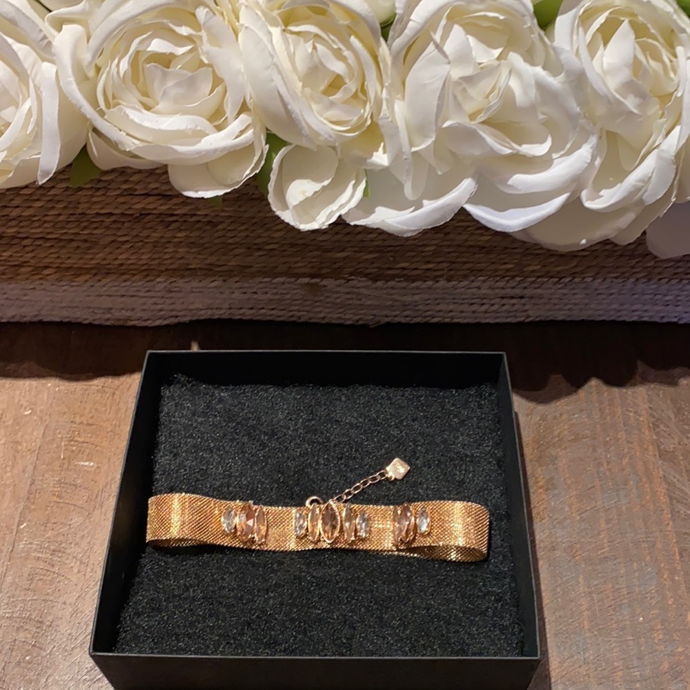 Zoe gold jewelry Chocker